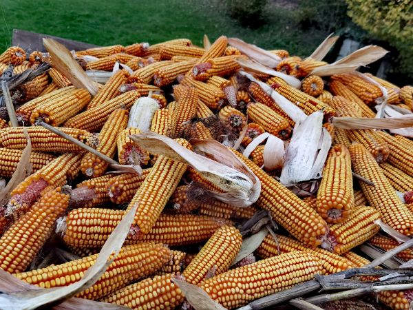 Labelling - standardizacija i certifikacija u ruralnom turizmu područja Tuhlja, Klanjca i Velikog Trgovišća